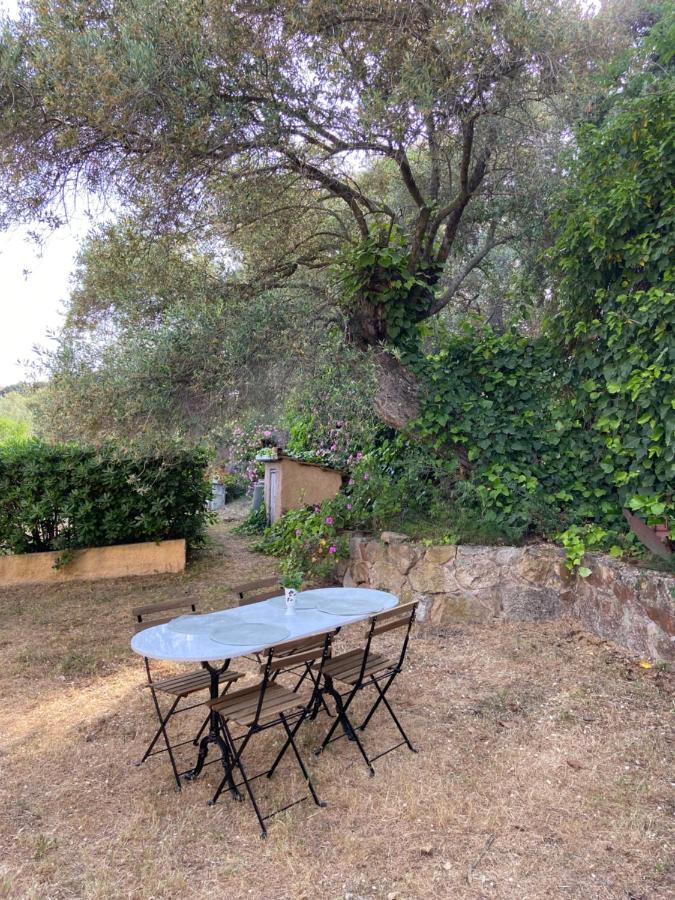 Seaview Garden Villa LʼÎle-Rousse المظهر الخارجي الصورة